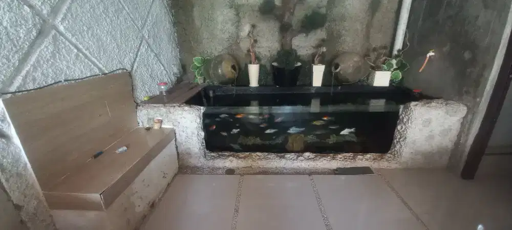 Perapihan kolam ikan