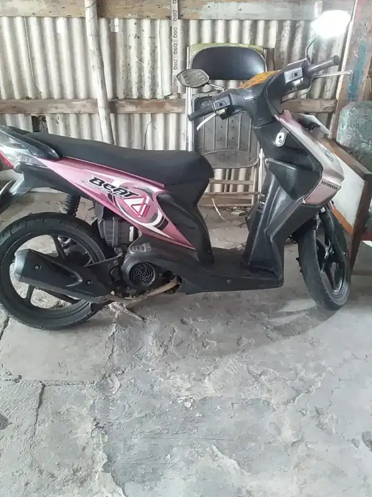 Beat mulus original terawat