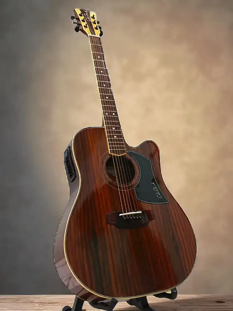 Gitar Akustik elektrik cole clark