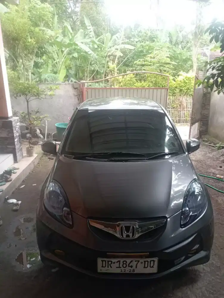 Brio Satya E manual 2014