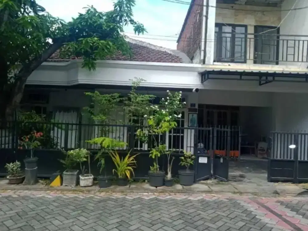 Rumah 2 Lantai Di Jual Tenggilis Lama Surabaya Dekat Ubaya Metropolis