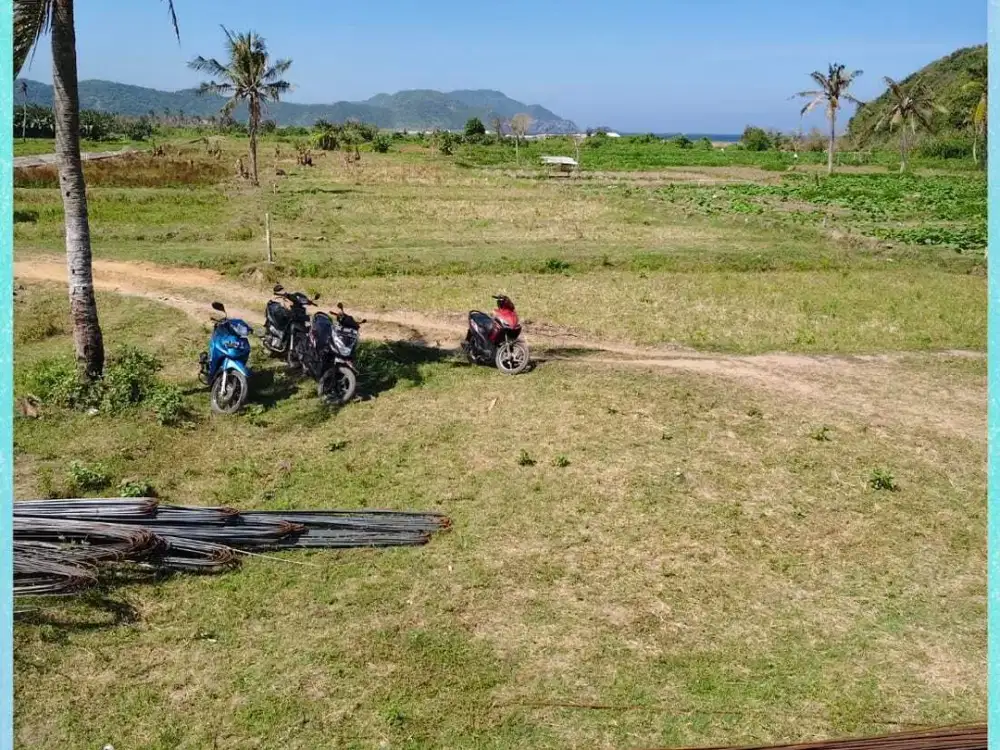 Tanah jalan kaki ke pantai Lancing luas kecil di dalam kompleks