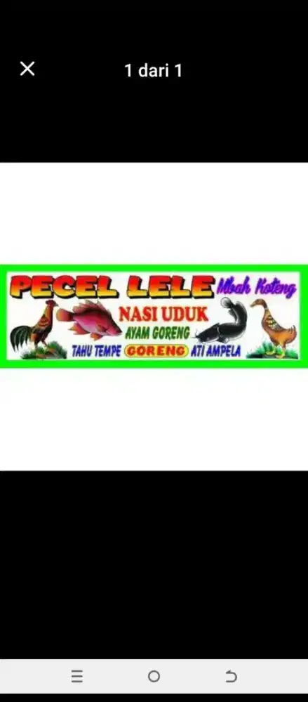 Pengalaman fried chicken & pecel lele