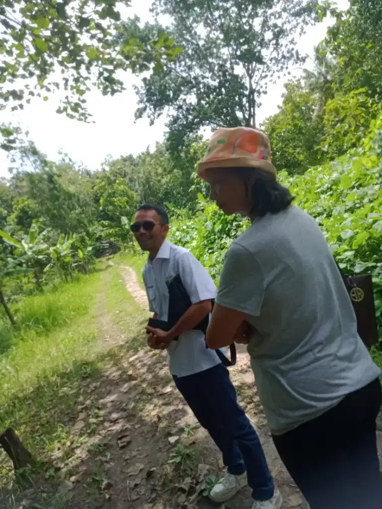 Di jual murah tanah pekarangan di bandung Donomulyo Nanggulan
