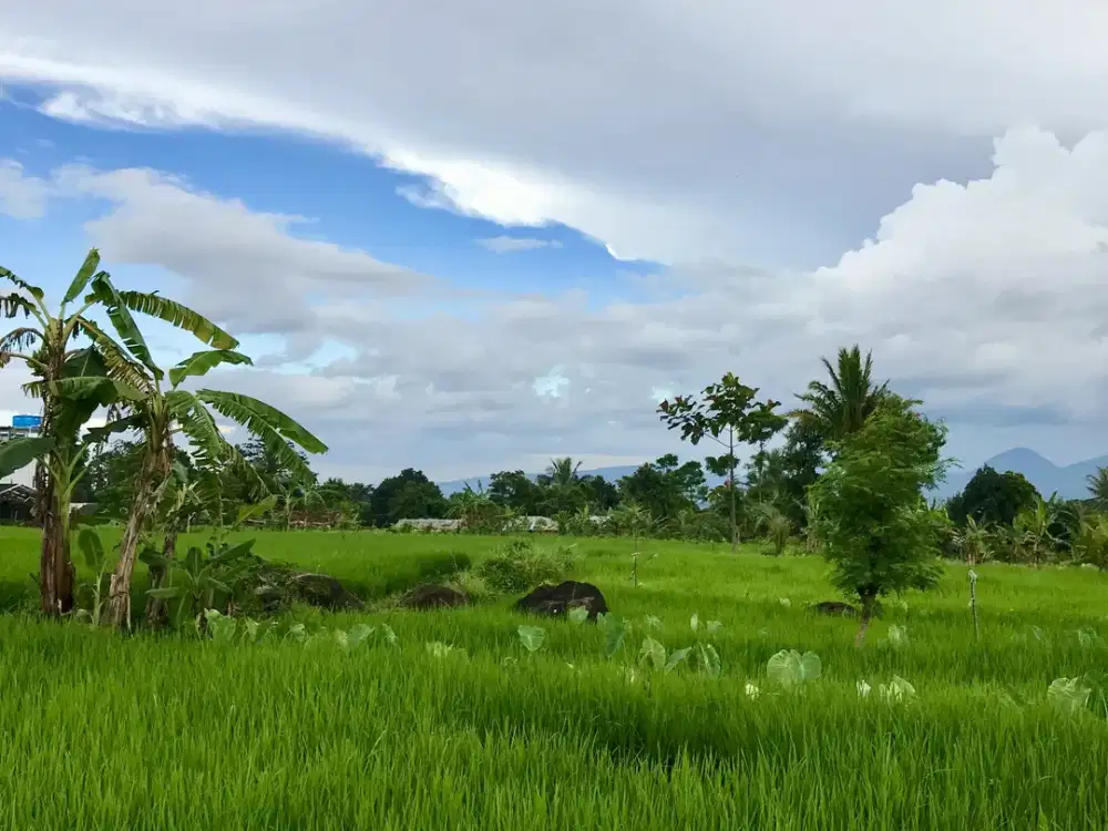DIJUAL TANAH HOKI DI KAKI GUNUNG SALAK, COCOK UNTUK VILLA & PERUMAHAN
