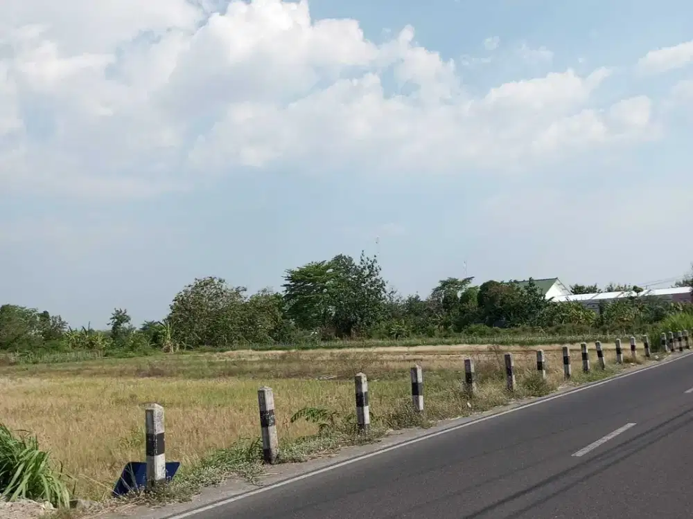 Prospek Hunian Investasi Dekat Ringroad, Tanah Jl Godean Jogja
