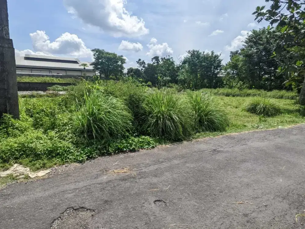 DEKAT HYATT REGENCY: Tanah Palagan km 9, Tepi Aspal Sudah SHM