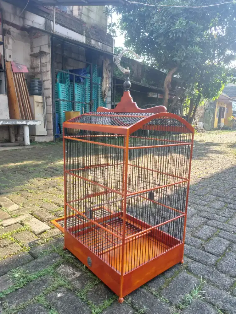 Kandang Ebod Kerodong Pamulang