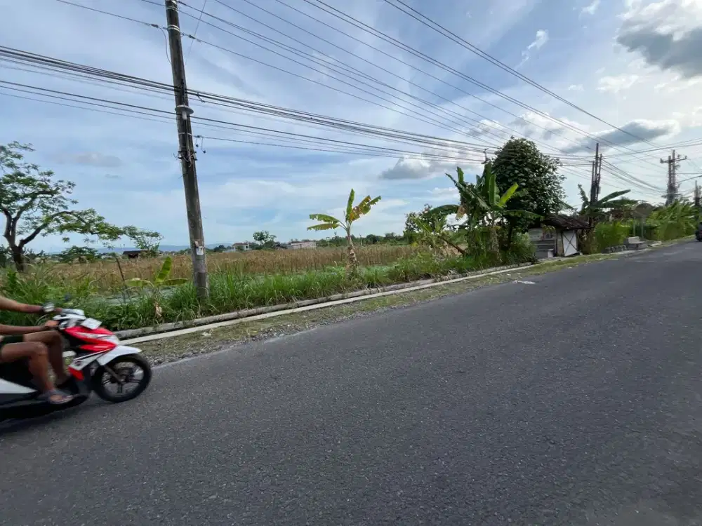 DEKAT SMP BUDI MULIA MAGUWO JOGJA: Tanah SHM Tepi Aspal