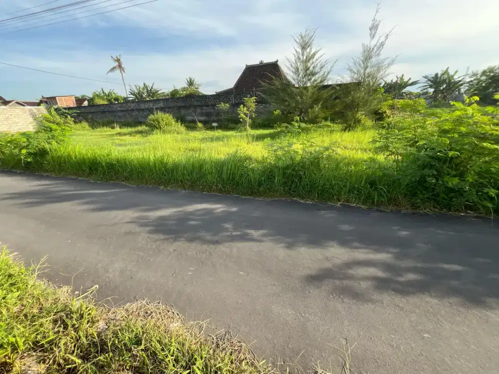 5 MENIT TVRI JL MAGELANG: Tanah Dalam Ringroad Area Trihanggo Jogja