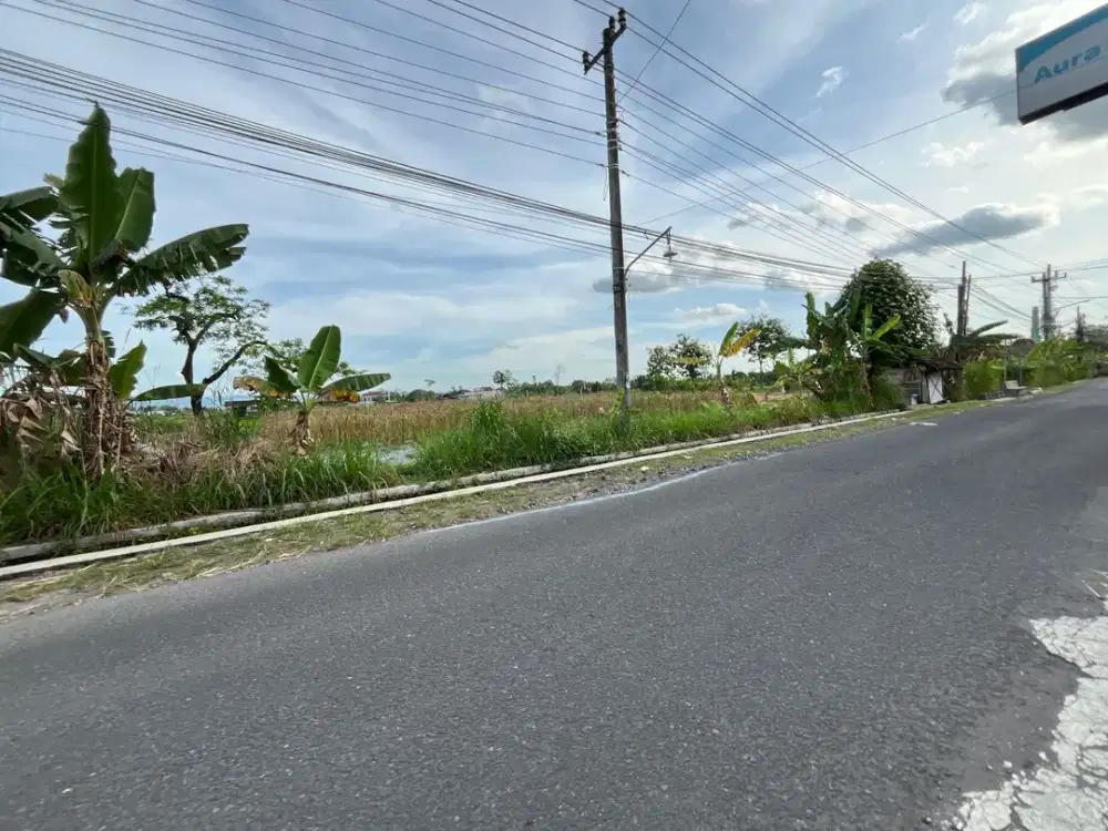 500 METER SMA BUDI MULIA MAGUWO: Tanah SHM Jogja, Luas 150 an
