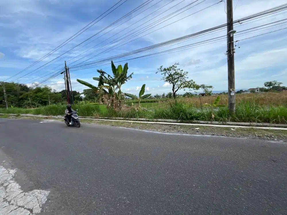 DEKAT POJATEK TAJEM MAGUWO: Tanah SHM Jogja, Tepi Jalan