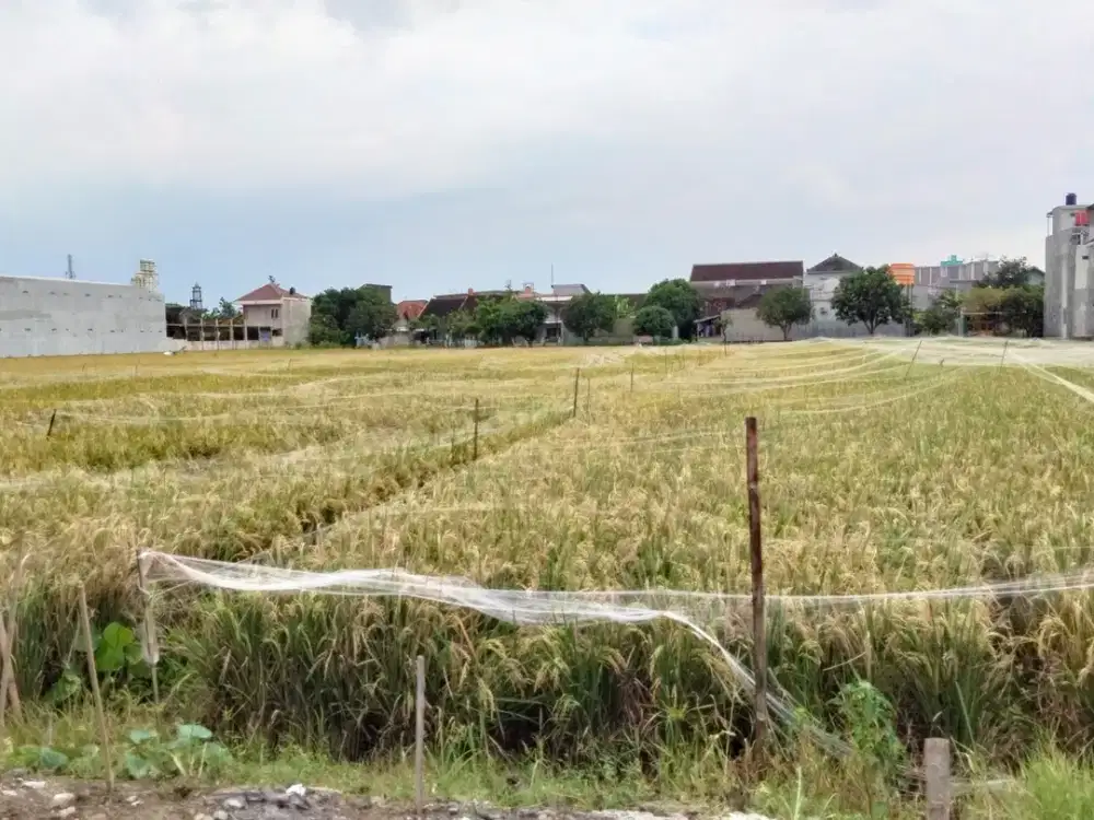 Tanah SHM Dekat Kampus UMS Solo, Prospek Kost atau Hunian