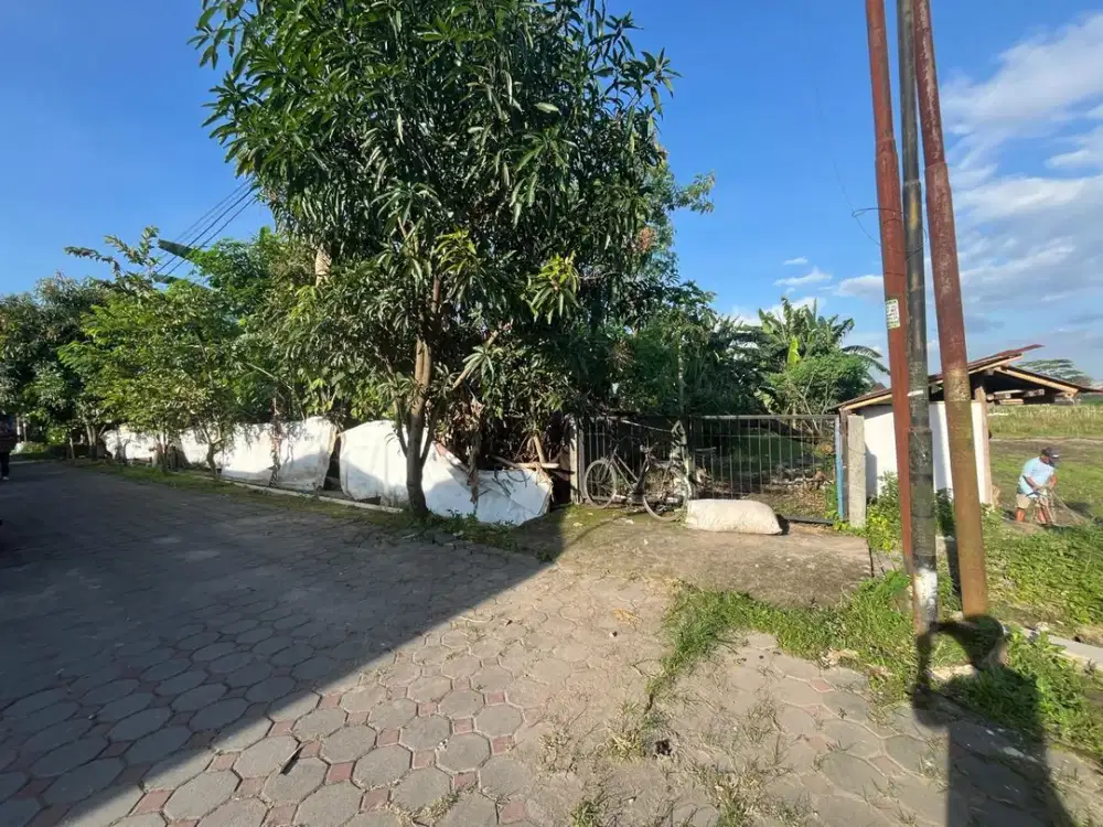 5 MENIT TVRI JL MAGELANG: Tanah di Jl Jambon Jogja, SHM Pekarangan