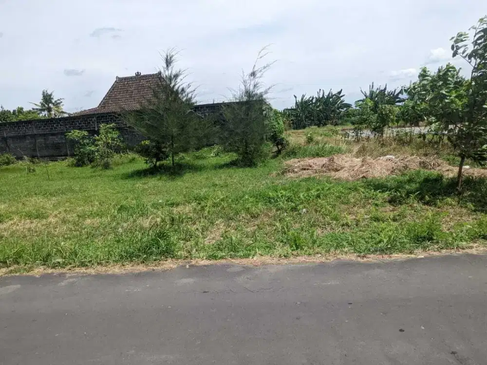 Dekat Kampus UNISA Jogja Trihanggo, Lokasi Dalam Ringroad