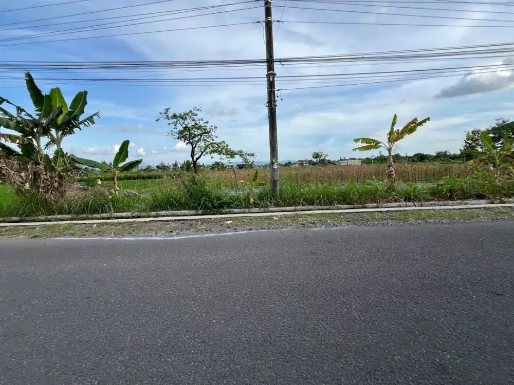 DEKAT PAMELA 7 PURWOMARTANI: Tanah Tepi Aspal Jogja, SHM