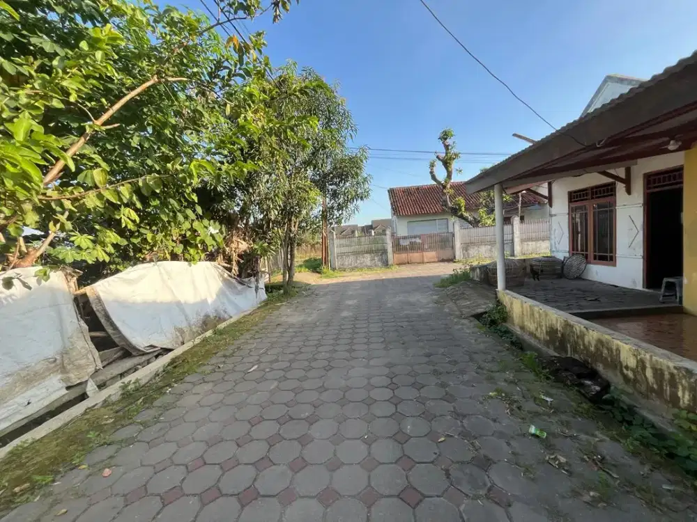 8 MENIT TUGU JOGJA: Tanah SHM di Jambon Jl Kabupaten
