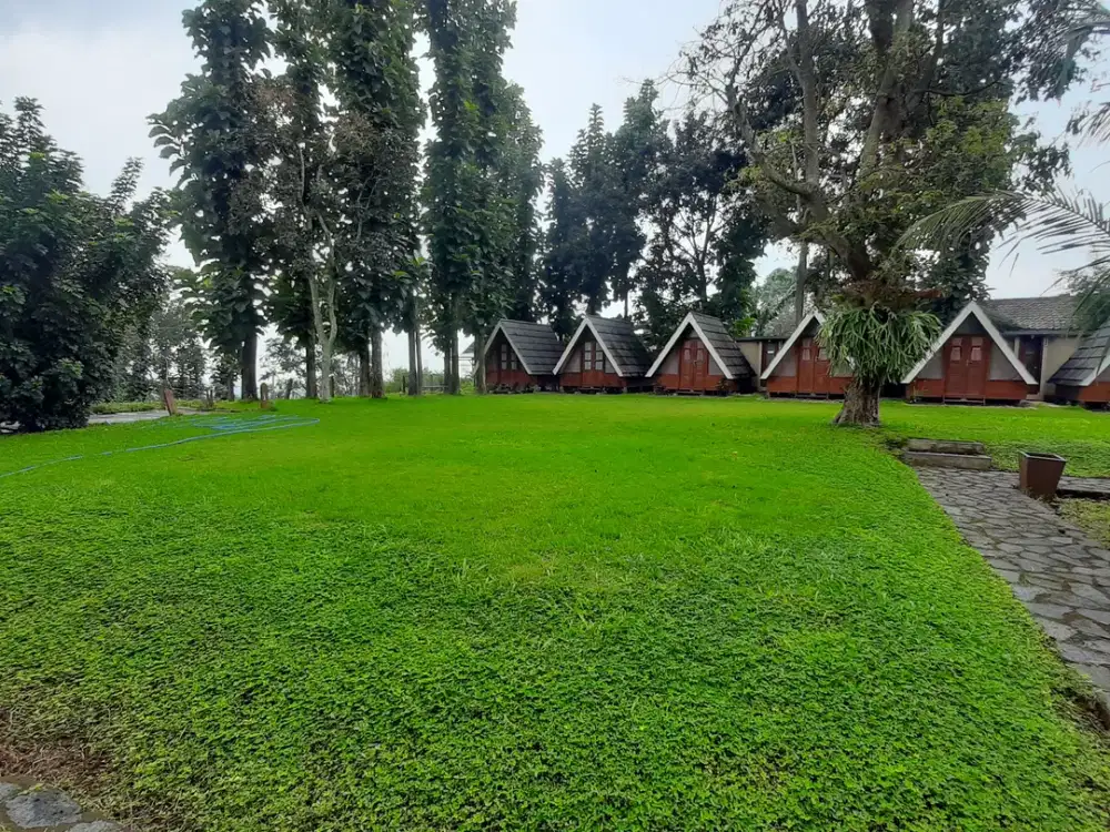 jual  tanah ex glamping pagermaneuh punclut dekat Dd land