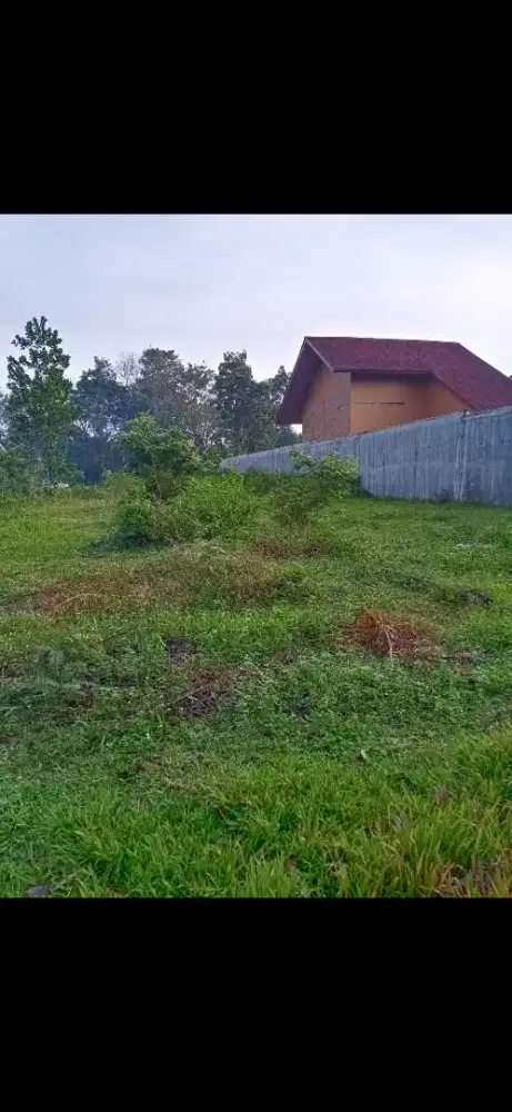 Tanah pekarangan 21 c Yosomulyo..500rb