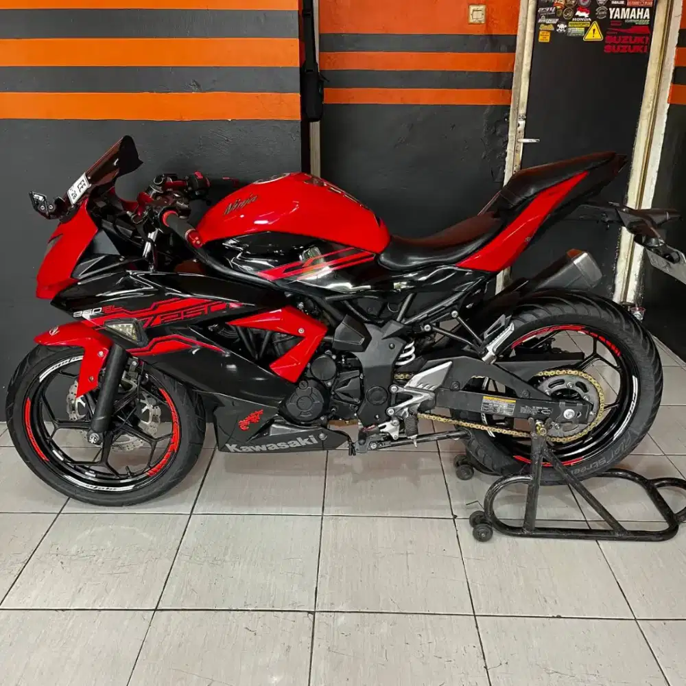 Ninja Rr mono taun 2017