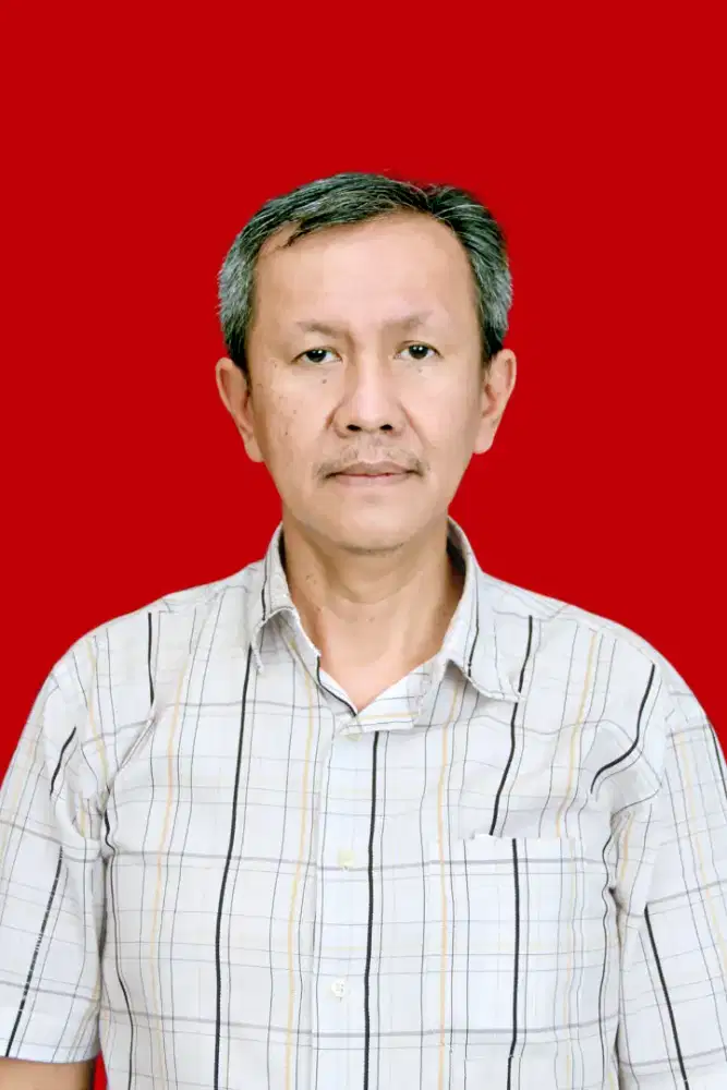 Driver mobil pribadi
