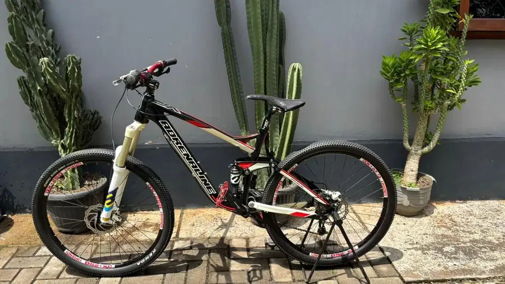 MTB Adrenaline XC2