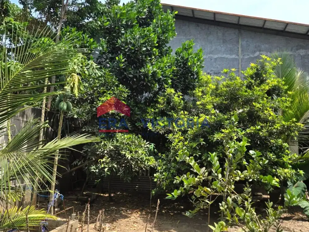 Dijual Tanah di Ds Ketami Kota Kediri Sudah Ditembok Pagar Keliling