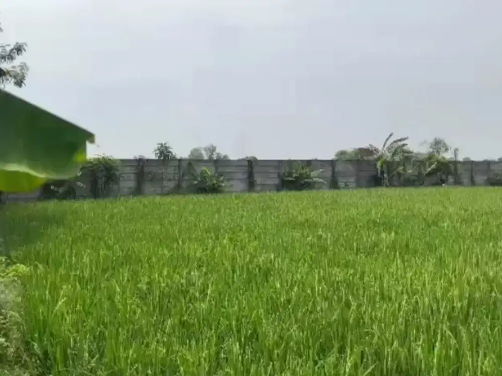 Dijual Tanah Lokasi bagus dan strategis  Pengampelan, Walantaka