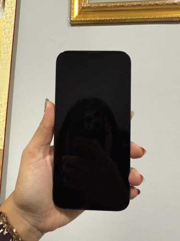 Mulus Iphone 13 pro max 256 gb