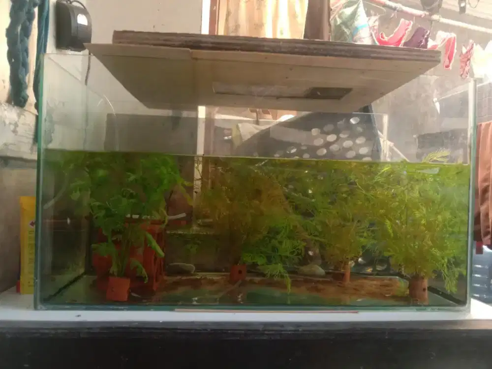 Dijual Aquarium bekas