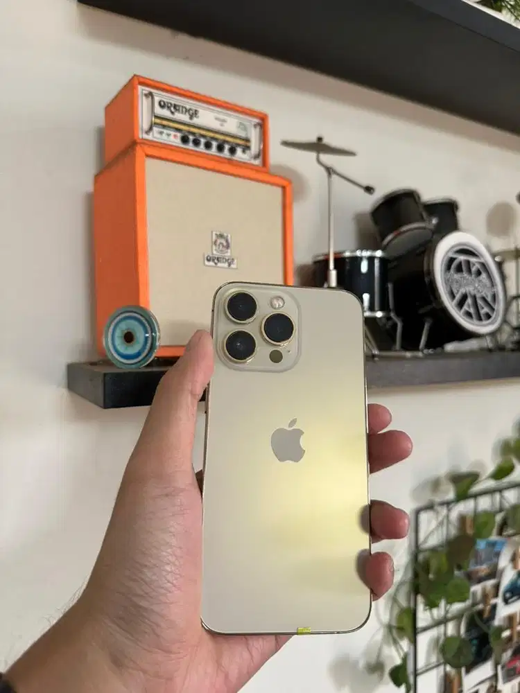 iPhone 13 Pro 256gb Gold