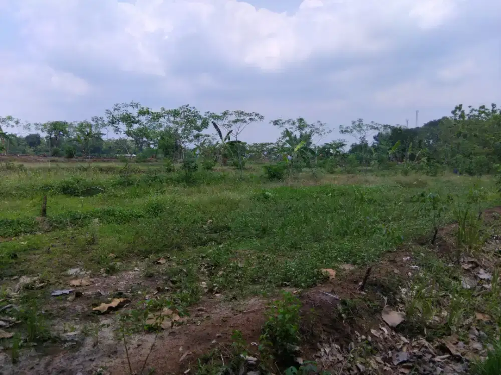 INVESTASI LAHAN PRODUKTIF STRATEGIS UNTUK USAHA / AGROWISATA