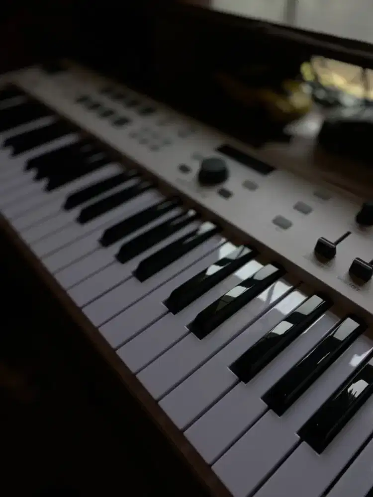 LES MUSIK PRIVAT. dijamin bisa!
