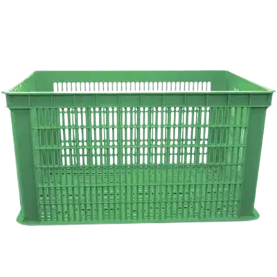 Container Plastik Berlubang (2112)