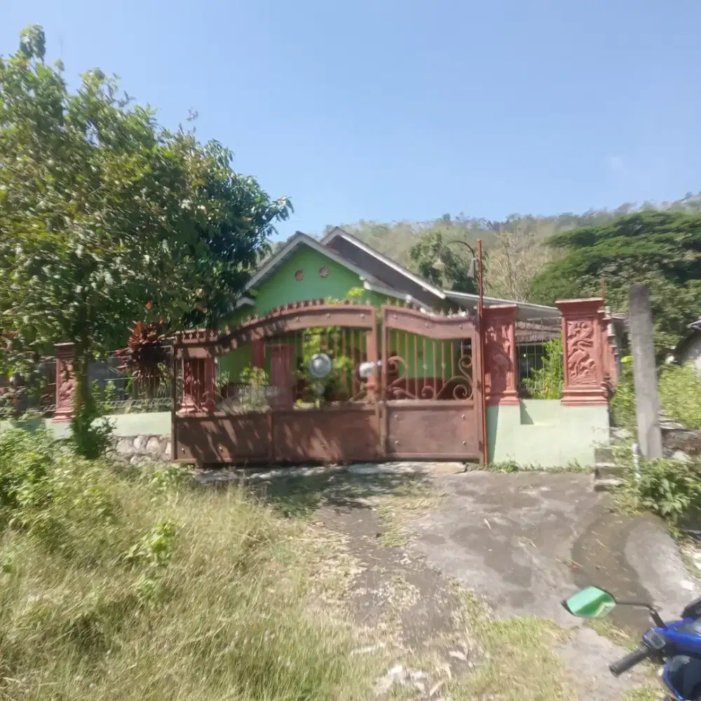rumah bagus dijual