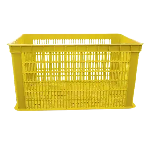 Container Plastik Berlubang (2003)