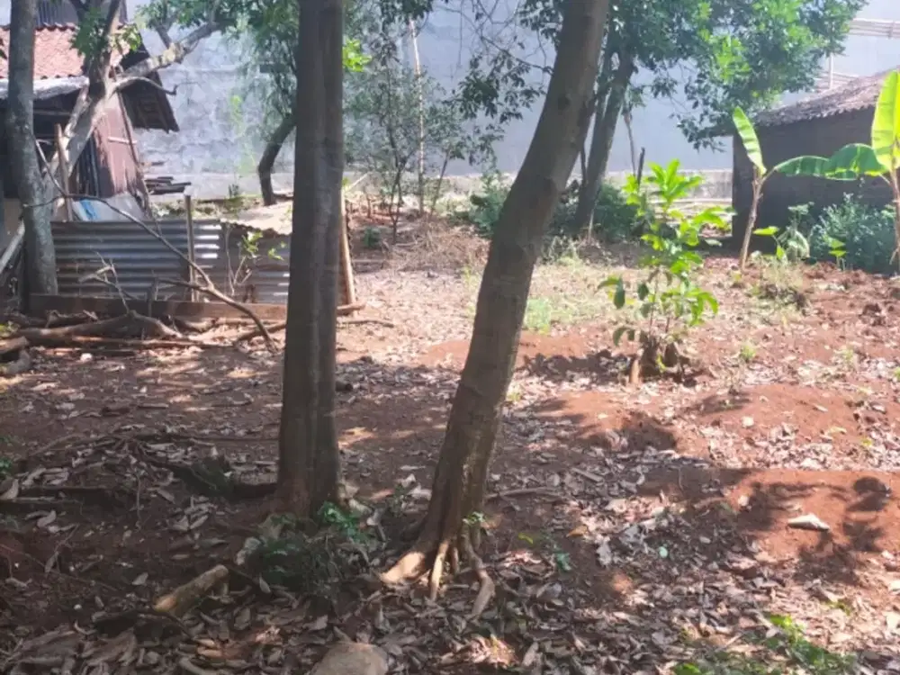 Tanah Tembalang Bulusan Undip