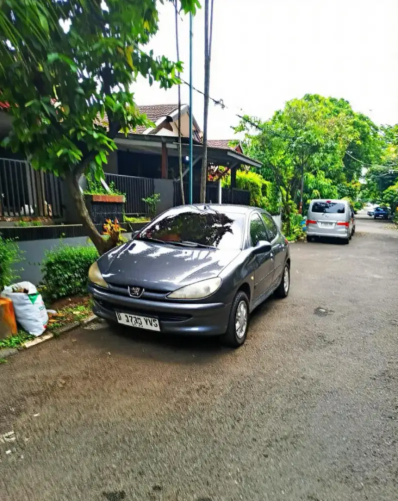 Peugeot cbu 206 xr at