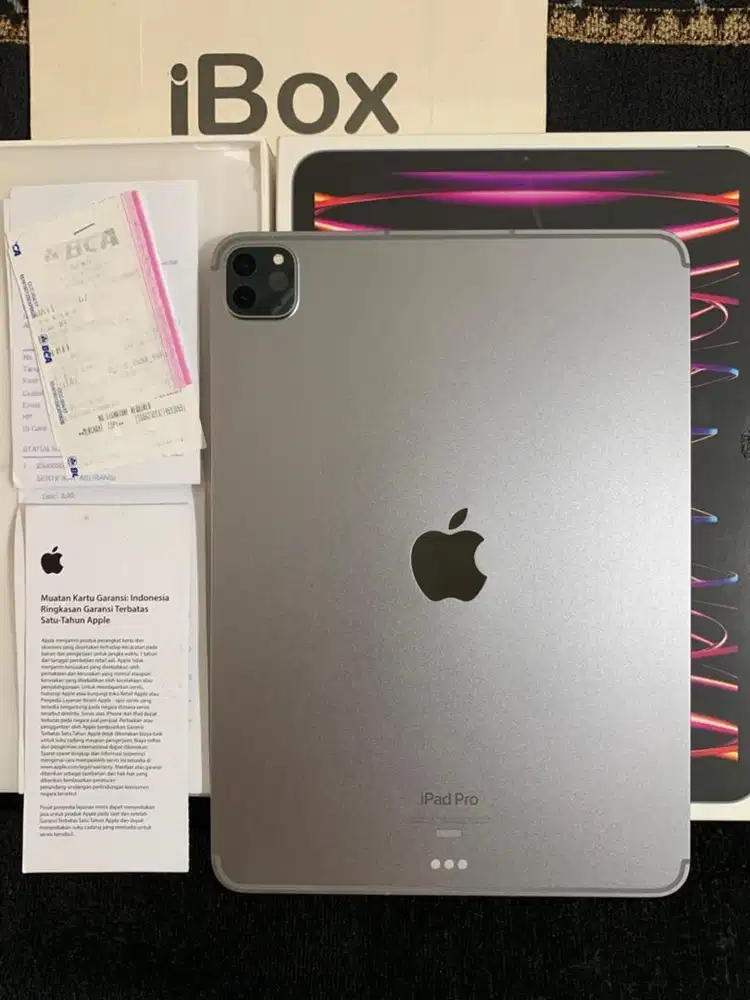 iPad Pro 11 M2 256gb Cellular Gen 4 iBox