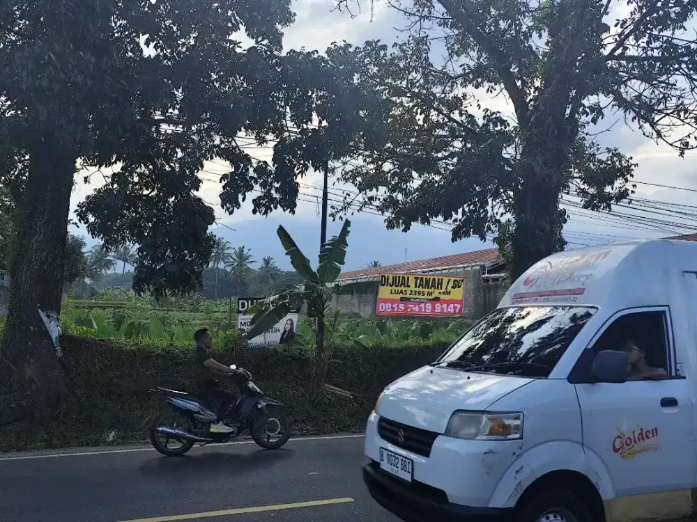 Tanah dijual pinggir jalan propinsi