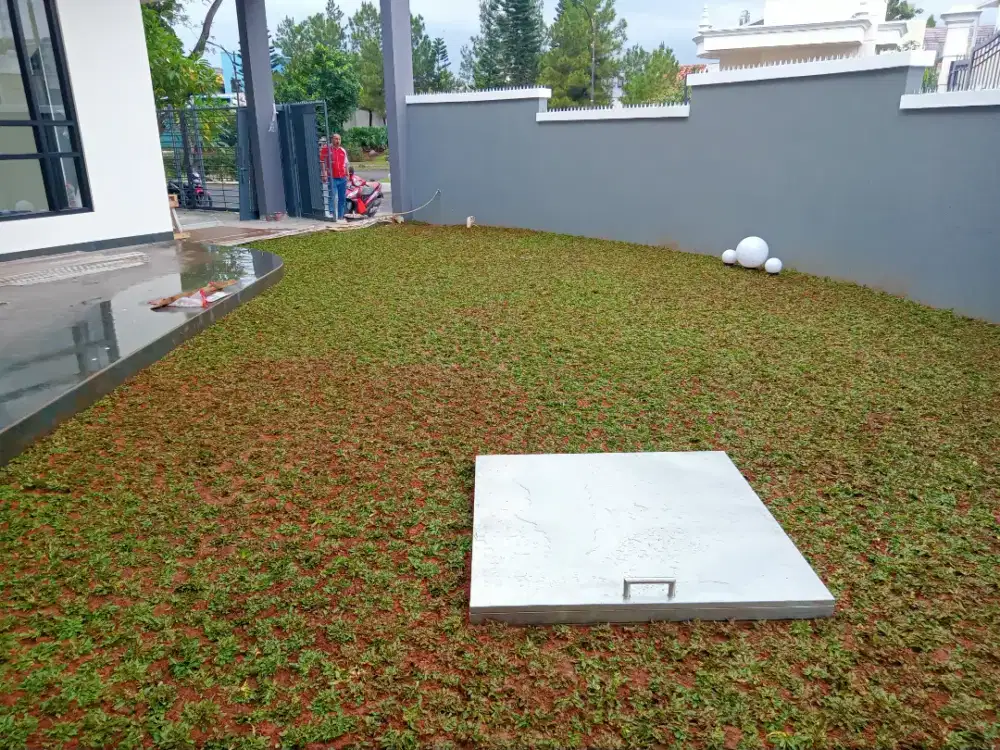 Jasa pasang rumput