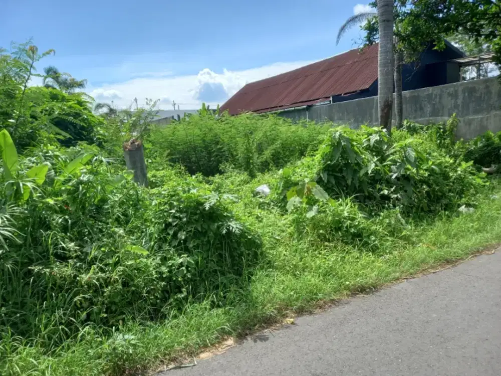 Tanah Bagus Murah di jl. Palagan km 8 Dekat HYATT & Kampus UGM