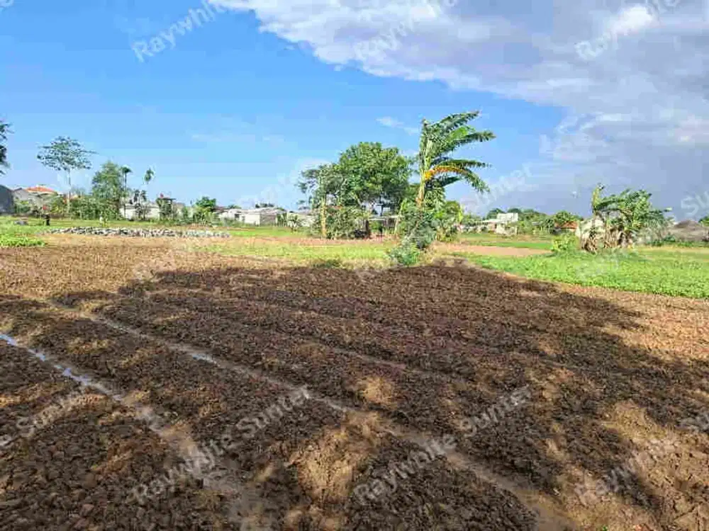 Dijual tanah di babelan bekasi
