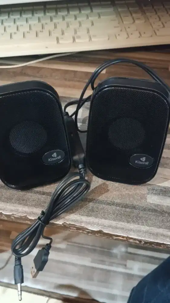 Speaker computer audio