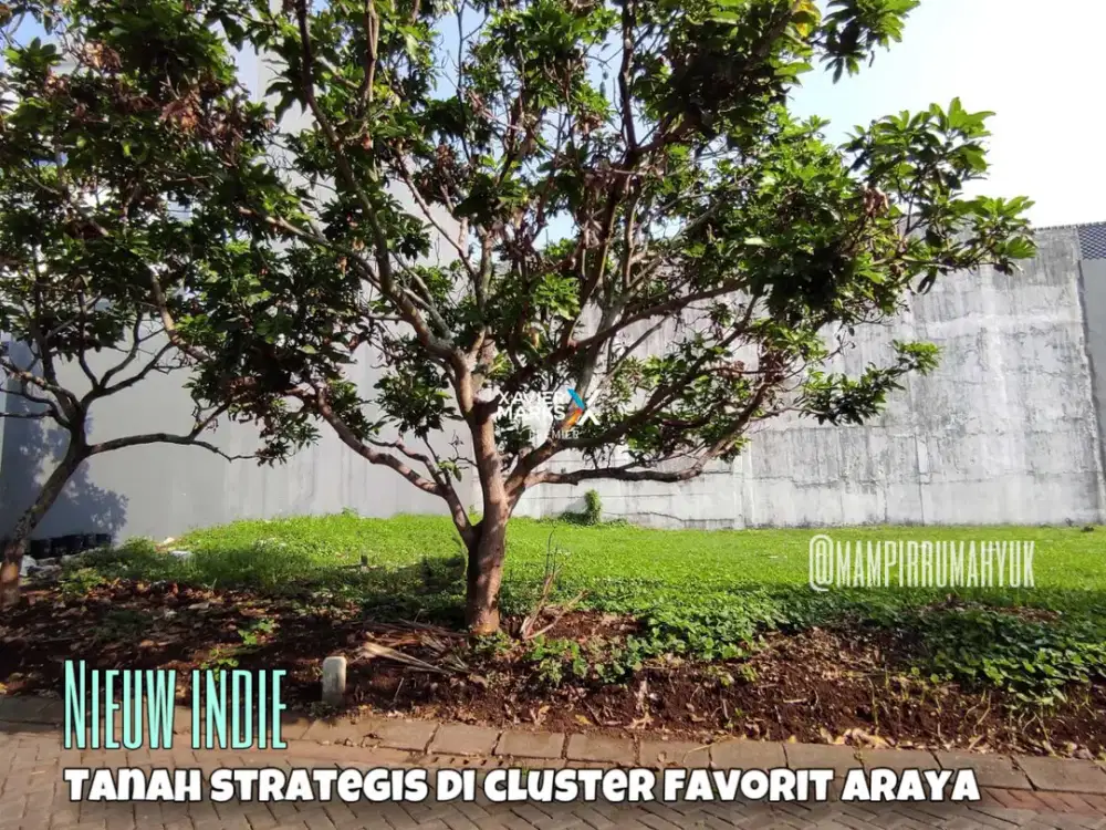 Tanah di Cluster Favorit Nieuw Indie Araya Malang