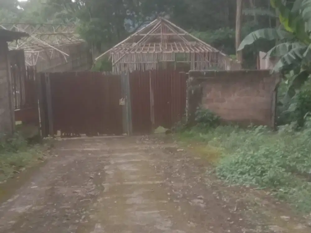 Dijual Tanah di Puspitek Luas tanah 3 ha - bisa lewat kontainer 40 feet