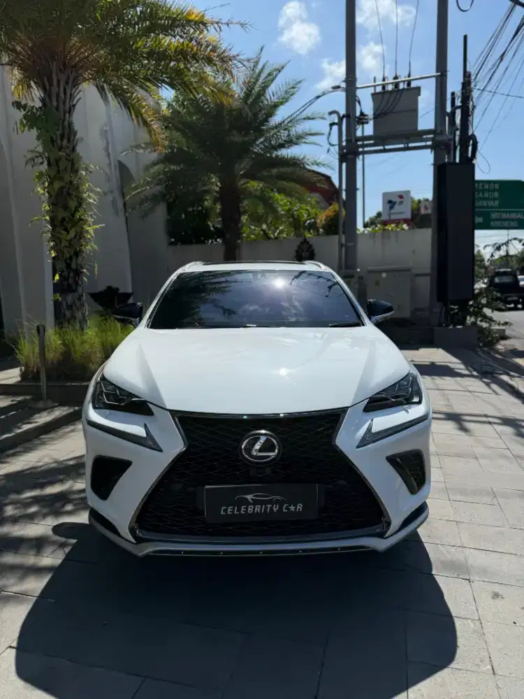 KM 15000 an Lexus NX-300 F-Sport Sonic Quartz Metallic