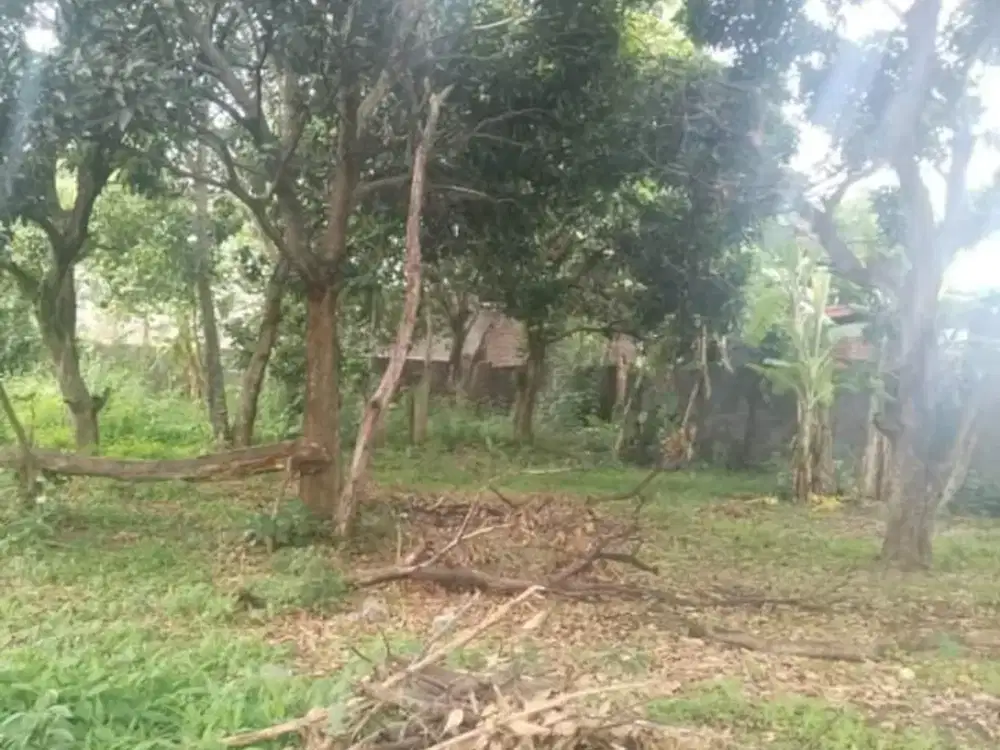 Tanah Banyumanik Sumurboto Undip Tembalang