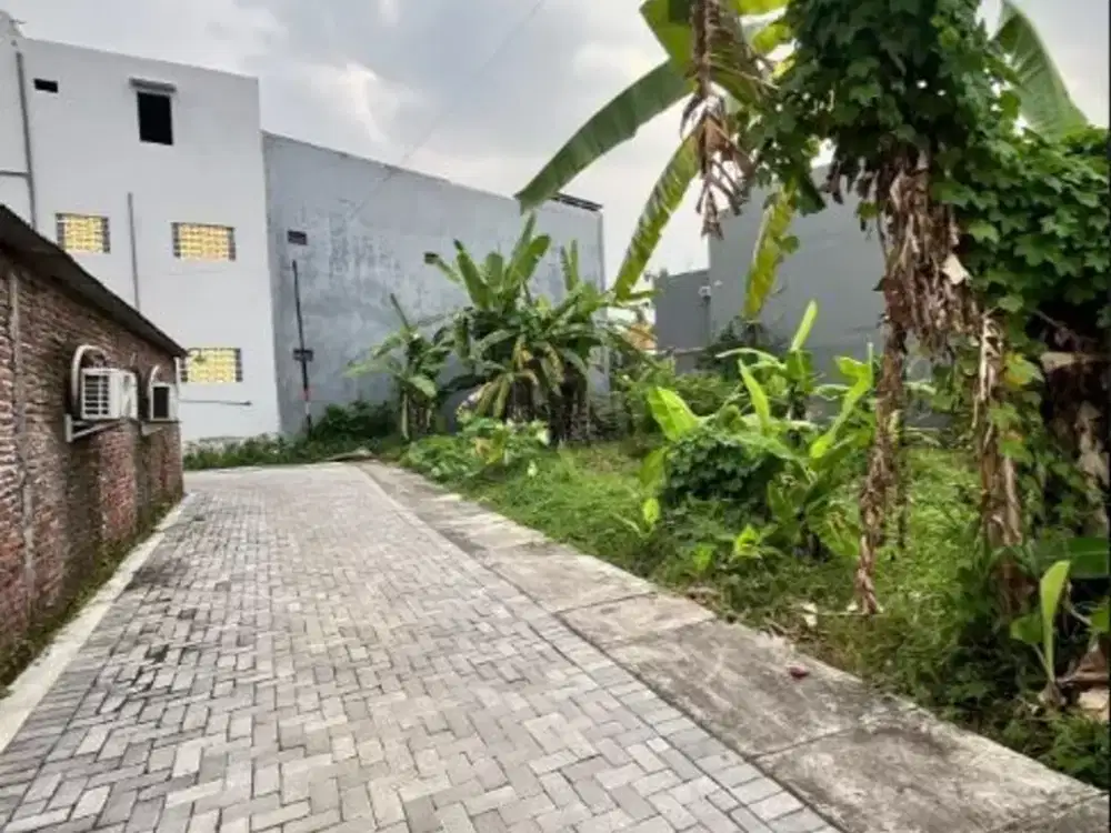 Investasi Emas di Ring 1 UNDIP Tembalang Tanah Luas Siap Bangun Kost