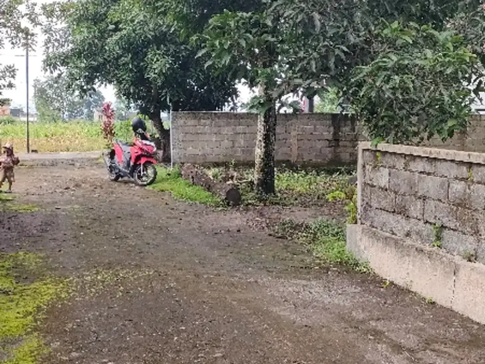 Dijual Tanah pekarangan di manisrenggo lokasi strategis